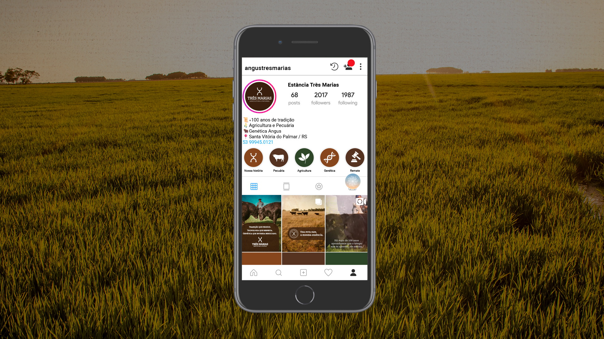 Instagram Três Marias - Agricultura e Pecuária | Luzz Design