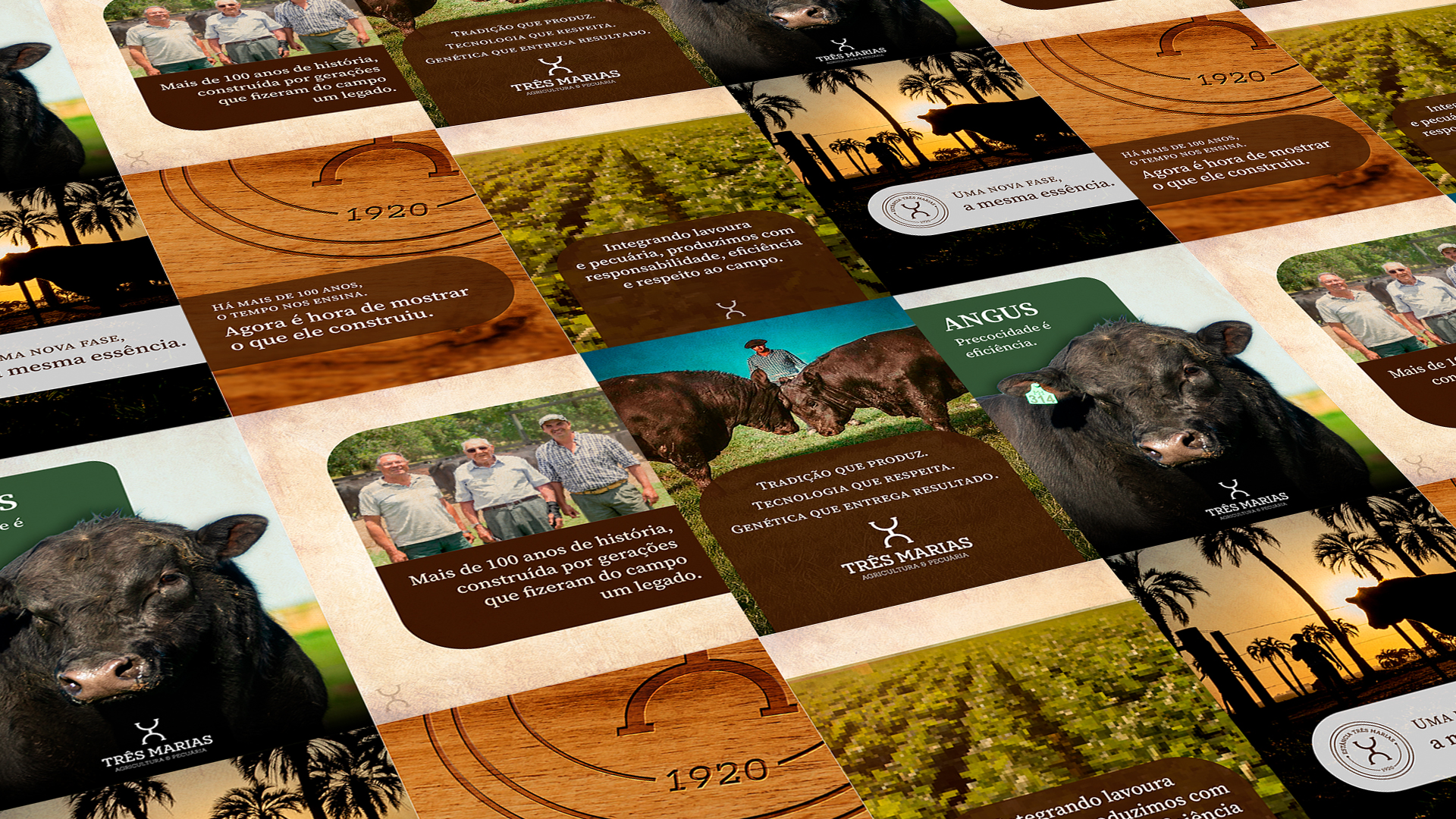 Posts Três Marias - Agricultura e Pecuária | Luzz Design