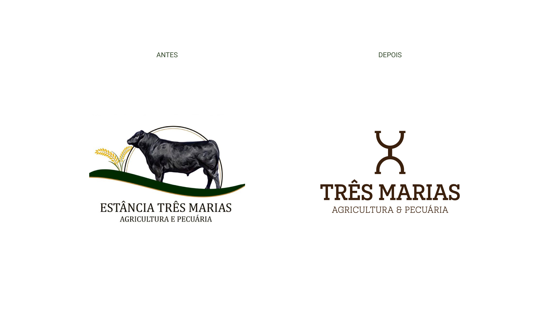 Comparativo Três Marias - Agricultura e Pecuária | Luzz Design